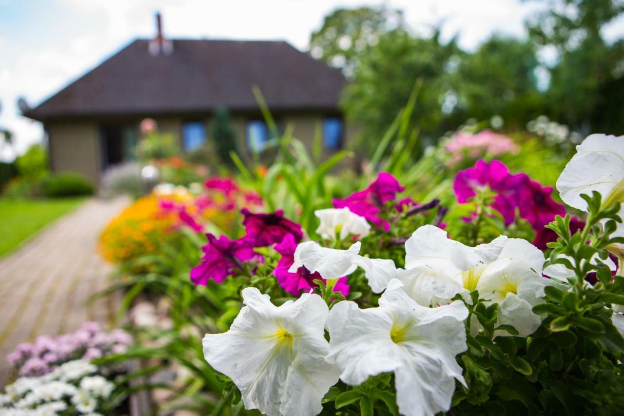 Guests House "Like Home" Sigulda Exteriér fotografie